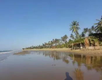 Bela praia com coqueiros de Icaraí de amontada